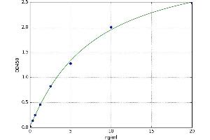 Replication Initiator 1 (REPIN1) ELISA Kit