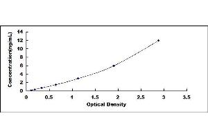 Typical standard curve (ELANE ELISA Kit)