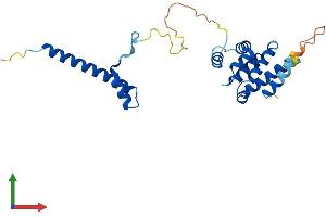AlphaFold protein structure predicition of Mouse Recombinant Ccdc103 Protein, UniprotID Q9D9P2 (CCDC103 Protein (AA 1-237) (His tag))