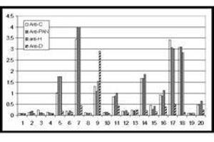 Image no. 1 for anti-Growth Differentiation Factor 15 (GDF15) (N-Term) antibody (ABIN1101704) (GDF15 antibody  (N-Term))
