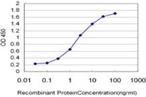 Detection limit for recombinant GST tagged HMGB2 is approximately 0. (HMGB2 antibody  (AA 1-195))