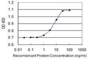 Detection limit for recombinant GST tagged PXK is 0. (PXK antibody  (AA 351-450))
