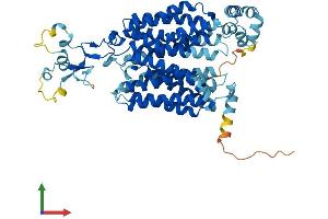 Protein Structure (PS) image for Solute Carrier Family 22 (Organic Anion/urate Transporter), Member 12 (SLC22A12) (AA 1-553) protein (His tag) (ABIN7559315)