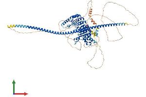 Protein Structure (PS) image for F-Box Protein 41 (FBXO41) (AA 1-875) protein (His tag) (ABIN7547562)