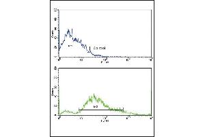 Flow cytometric analysis of SK-Br-3 cells using PDGFRB Antibody (N-term)(bottom histogram) compared to a negative control cell (top histogram).