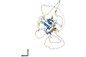 AlphaFold protein structure predicition of Human Recombinant TESMIN Protein, UniprotID Q9Y4I5 (MTL5 Protein (AA 1-508) (His tag))