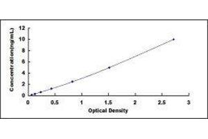 Typical standard curve (KRT8 ELISA Kit)