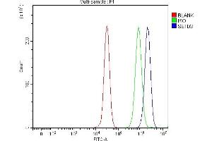 Flow Cytometry analysis of 293T cells using anti-SETD3 antibody (ABIN7600293). (SETD3 antibody  (AA 173-468))