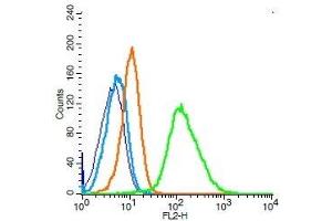 Human Raji cells probed with IL-6R beta Polyclonal Antibody, Unconjugated  (green) at 1:100 for 30 minutes followed by a PE conjugated secondary antibody compared to unstained cells (blue), secondary only (light blue), and isotype control (orange). (CD130/gp130 antibody  (AA 651-750))