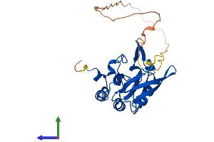 AlphaFold protein structure predicition of Human Recombinant CTDSP1 Protein, UniprotID Q9GZU7