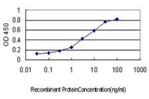 Detection limit for recombinant GST tagged BIK is approximately 0. (BIK antibody  (AA 37-136))
