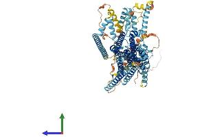 Protein Structure (PS) image for Transmembrane Channel-Like 6 (TMC6) (AA 1-810) protein (His tag) (ABIN7558222)