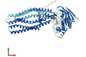AlphaFold protein structure predicition of Mouse Recombinant Abcd4 Protein, UniprotID O89016 (ABCD4 Protein (AA 1-606) (His tag))
