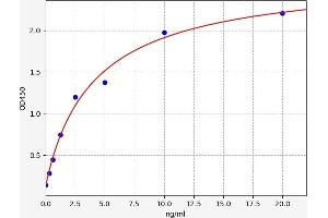 Typical standard curve (LRP5 ELISA Kit)