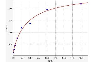 LRP5 ELISA Kit