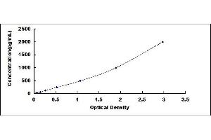 Typical standard curve