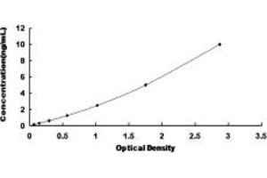Typical standard curve (Neurogenin 3 ELISA Kit)