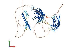 AlphaFold protein structure predicition of Mouse Recombinant Sytl1 Protein, UniprotID Q99N80