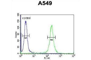 TM168 Antibody (C-term) flow cytometric analysis of A549 cells (right histogram) compared to a negative control cell (left histogram). (TMEM168 antibody  (C-Term))