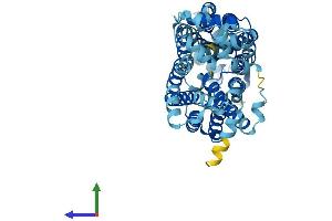 AlphaFold protein structure predicition of Human Recombinant SLC22A10 Protein, UniprotID Q63ZE4 (SLC22A10 Protein (AA 1-541) (His tag))