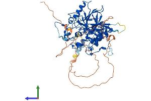 AlphaFold protein structure predicition of Human Recombinant DBR1 Protein, UniprotID Q9UK59 (DBR1 Protein (AA 1-544) (His tag))