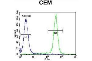 CCDC122 Antibody (C-term) flow cytometric analysis of CEM cells (right histogram) compared to a negative control cell (left histogram). (CCDC122 antibody  (C-Term))