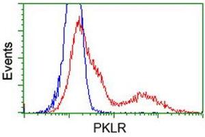 Flow Cytometry (FACS) image for anti-Pyruvate Kinase, Liver and RBC (PKLR) antibody (ABIN1500249) (PKLR antibody)
