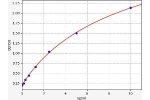 Typical standard curve (SERPINA3N ELISA Kit)