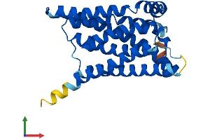 AlphaFold protein structure predicition of Mouse Recombinant Elovl6 Protein, UniprotID Q920L5 (ELOVL6 Protein (AA 1-267) (His tag))
