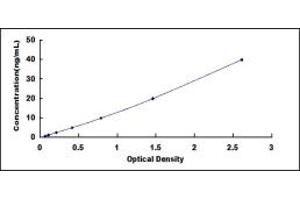 Typical standard curve (ENO2/NSE ELISA Kit)