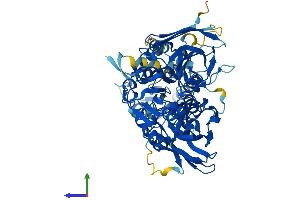 AlphaFold protein structure predicition of Mouse Recombinant Prmt7 Protein, UniprotID Q922X9 (PRMT7 Protein (AA 1-692) (His tag))