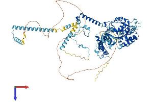 AlphaFold protein structure predicition of Human Recombinant DDX23 Protein, UniprotID Q9BUQ8 (DDX23 Protein (AA 1-820) (His tag))
