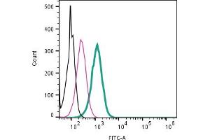 Cell surface detection of Kappa Opioid Receptor by direct flow cytometry in live intact mouse  microglia cell line: + Rabbit IgG Isotype Control-FITC (ABIN7582044).