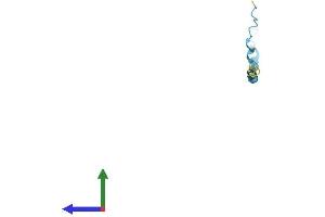 AlphaFold protein structure predicition of Human Recombinant SPRR2B Protein, UniprotID P35325