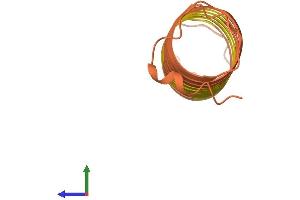 AlphaFold protein structure predicition of Mouse Recombinant Krtap6-2 Protein, UniprotID O08884