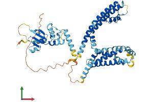 AlphaFold protein structure predicition of Human Recombinant KCNG2 Protein, UniprotID Q9UJ96 (Kcng2 Protein (AA 1-466) (His tag))