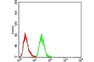 Flow cytometric analysis of Hela cells using phospho-NLRC4(Ser-533) rat mAb (green) and negative control (red). (NLRC4 antibody  (pSer533))