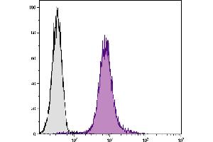 C57BL/6N T lymphocyte cell line EL-4 was stained with Hamster Anti-Mouse CD28-PE. (CD28 antibody)