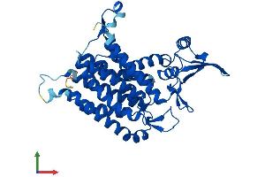 AlphaFold protein structure predicition of Human Recombinant DPAGT1 Protein, UniprotID Q9H3H5 (DPAGT1 Protein (AA 1-408) (His tag))