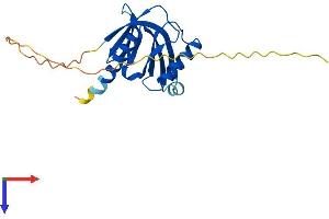 ITGB1BP1 Protein (AA 1-200) (His tag)