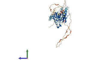 AlphaFold protein structure predicition of Human Recombinant IRF5 Protein, UniprotID Q13568 (IRF5 Protein (AA 1-498) (His tag))