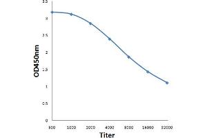 Antigen: 0. (HNRNPA2B1 antibody)