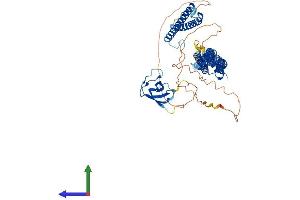 AlphaFold protein structure predicition of Human Recombinant FNBP1 Protein, UniprotID Q96RU3 (FNBP1 Protein (AA 1-617) (His tag))