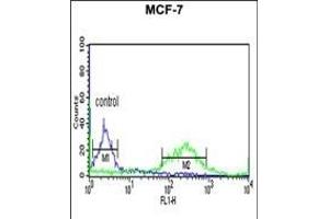 ETS2 Antibody (Center) (ABIN653803 and ABIN2843080) flow cytometric analysis of MCF-7 cells (right histogram) compared to a negative control cell (left histogram). (ETS2 antibody  (AA 146-173))