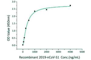 Measured by its binding ability in a functional ELISA. (SARS-CoV-2 Spike S1 Protein (His tag))