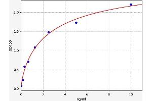 Dihydropyrimidine Dehydrogenase (DPYD) ELISA Kit