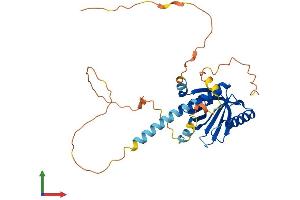 AlphaFold protein structure predicition of Mouse Recombinant Ldlrap1 Protein, UniprotID Q8C142