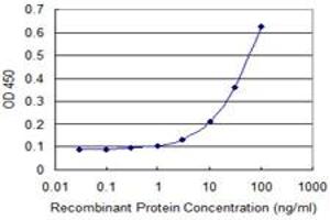 Detection limit for recombinant GST tagged SIRT4 is 1 ng/ml as a capture antibody. (SIRT4 antibody  (AA 215-314))