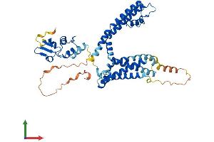 AlphaFold protein structure predicition of Human Recombinant KCNA7 Protein, UniprotID Q96RP8 (KCNA7 Protein (AA 1-456) (His tag))