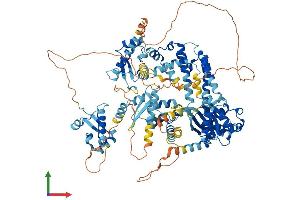 AlphaFold protein structure predicition of Human Recombinant GTF2IRD2B Protein, UniprotID Q6EKJ0 (GTF2IRD2B Protein (AA 1-949) (His tag))